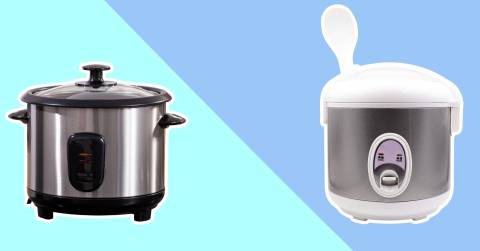 The Best Rice Cooker Brown Rice For 2024